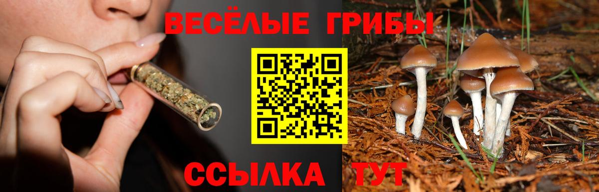 Красноармейск  Псилоцибиновые грибы Magic Shrooms  Вход с VPN 